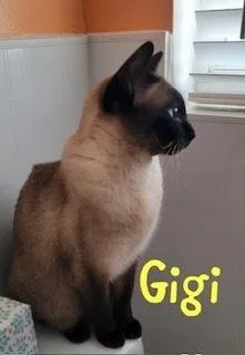 Gigi thumbnail 2