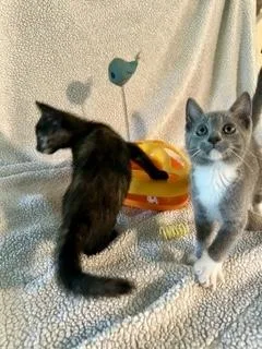 Cuddles R Us & thumbnail 4