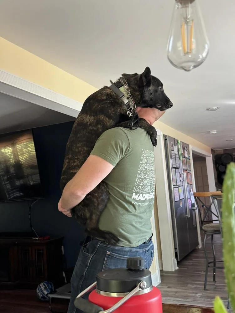 Balto  Located In thumbnail 4