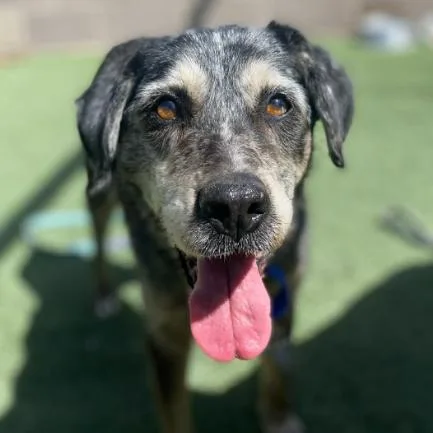 Princess thumbnail 2