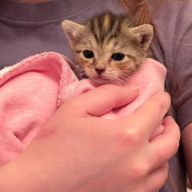 Buttons thumbnail 2