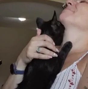 Pooka thumbnail 6