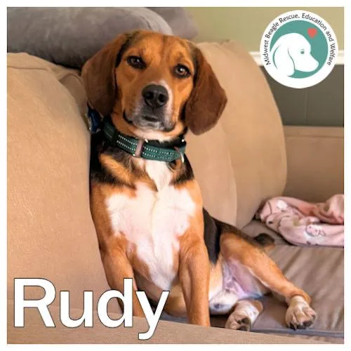Rudy thumbnail 2