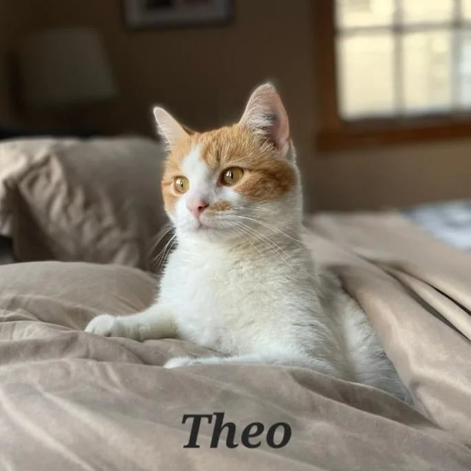 Theo