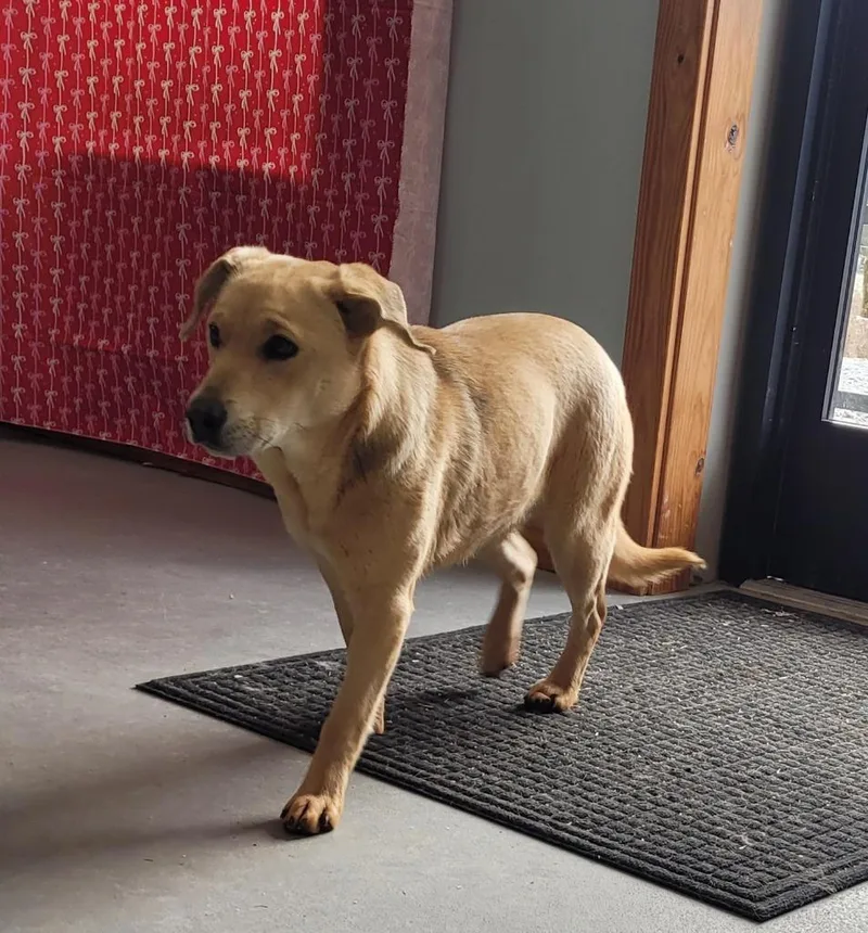 Pretty Girl thumbnail 2