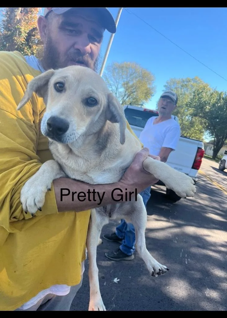 Pretty Girl thumbnail 3