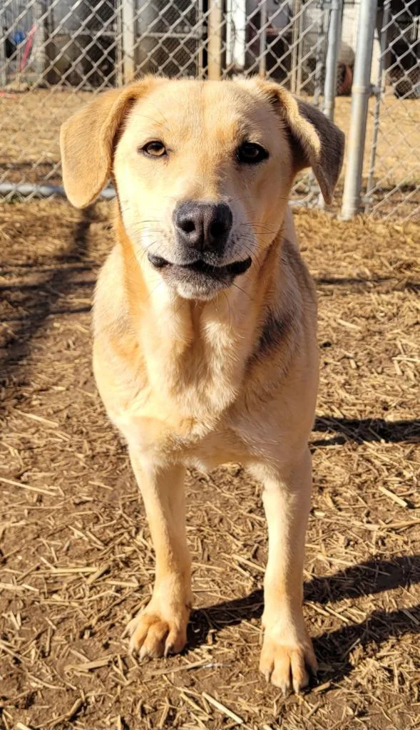 Pretty Girl thumbnail 4