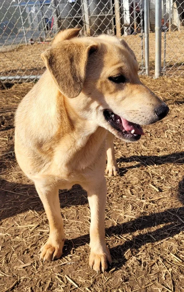 Pretty Girl thumbnail 5