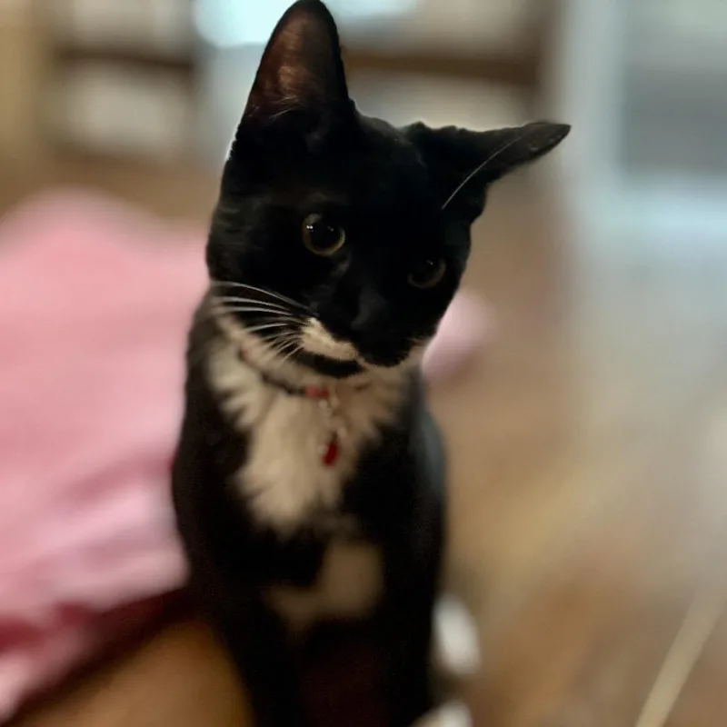 Leah thumbnail 2