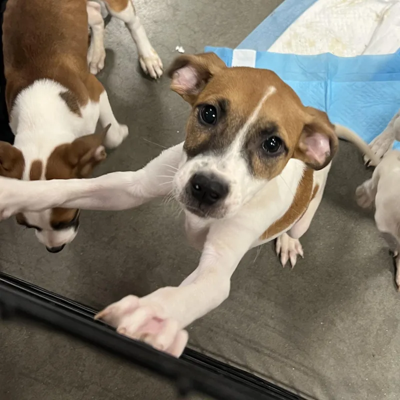Walter thumbnail 3