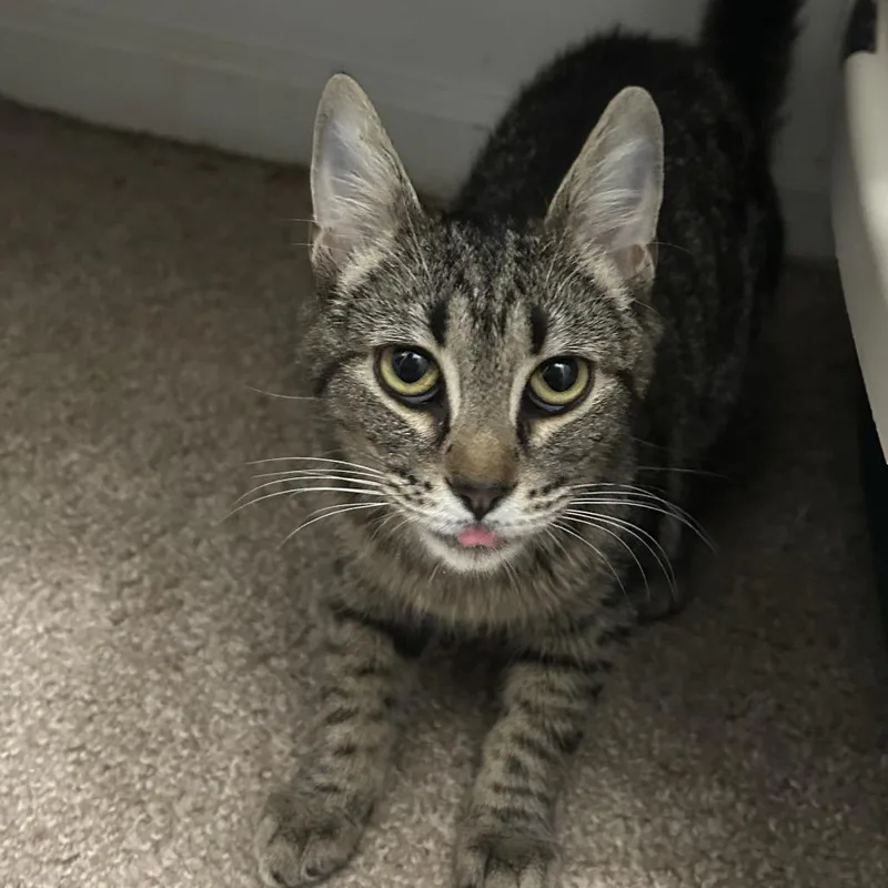 Snuggles thumbnail 2