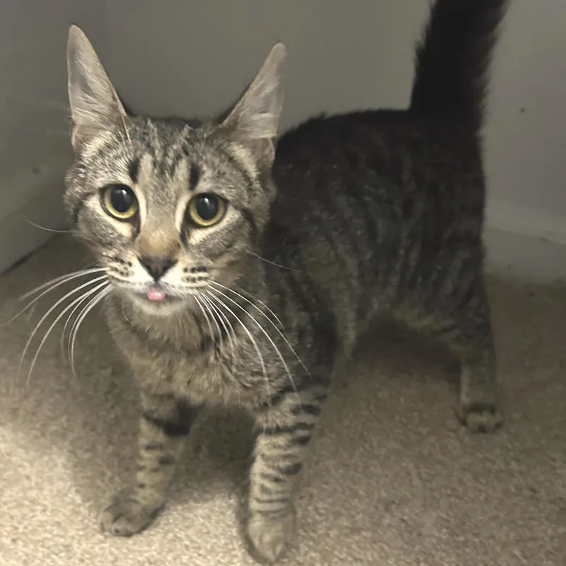 Snuggles thumbnail 3