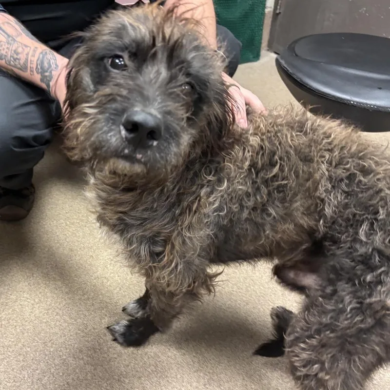 Reginald Bubbles thumbnail 2