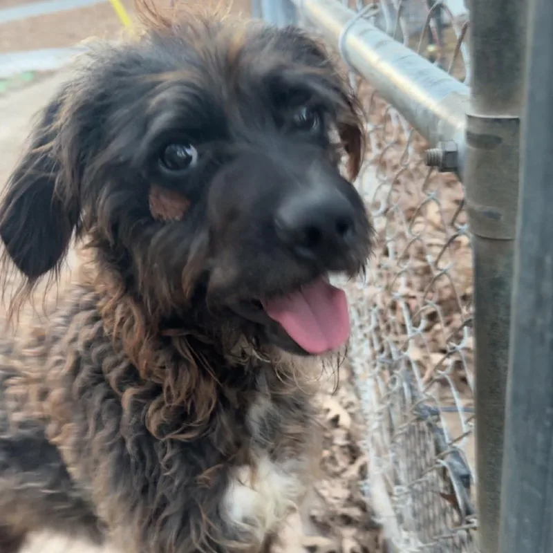 Reginald Bubbles thumbnail 3