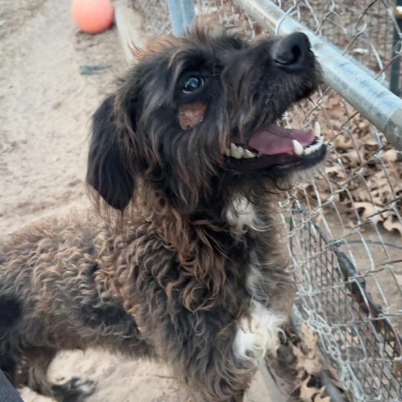 Reginald Bubbles thumbnail 4