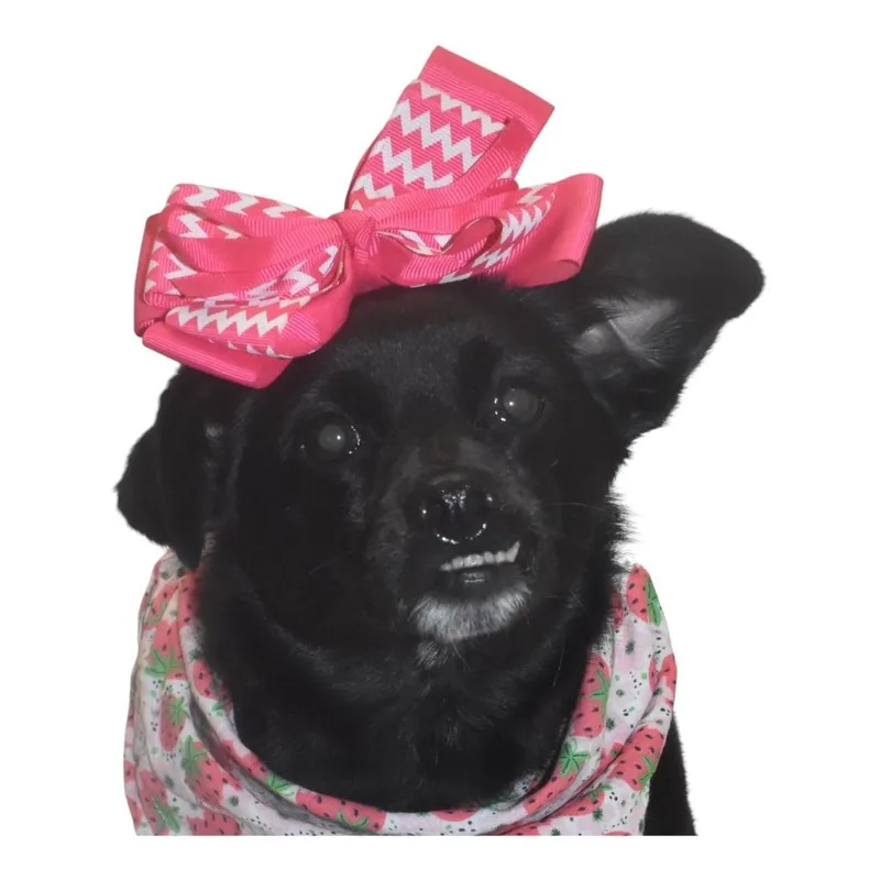 Billi Bobbie thumbnail 3