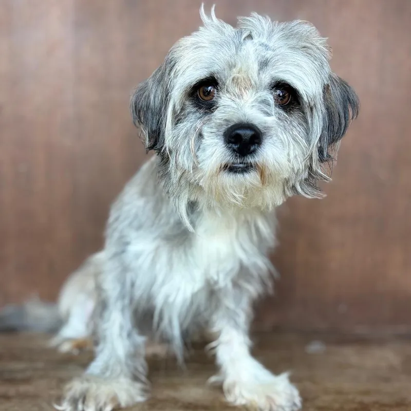 Roscoe