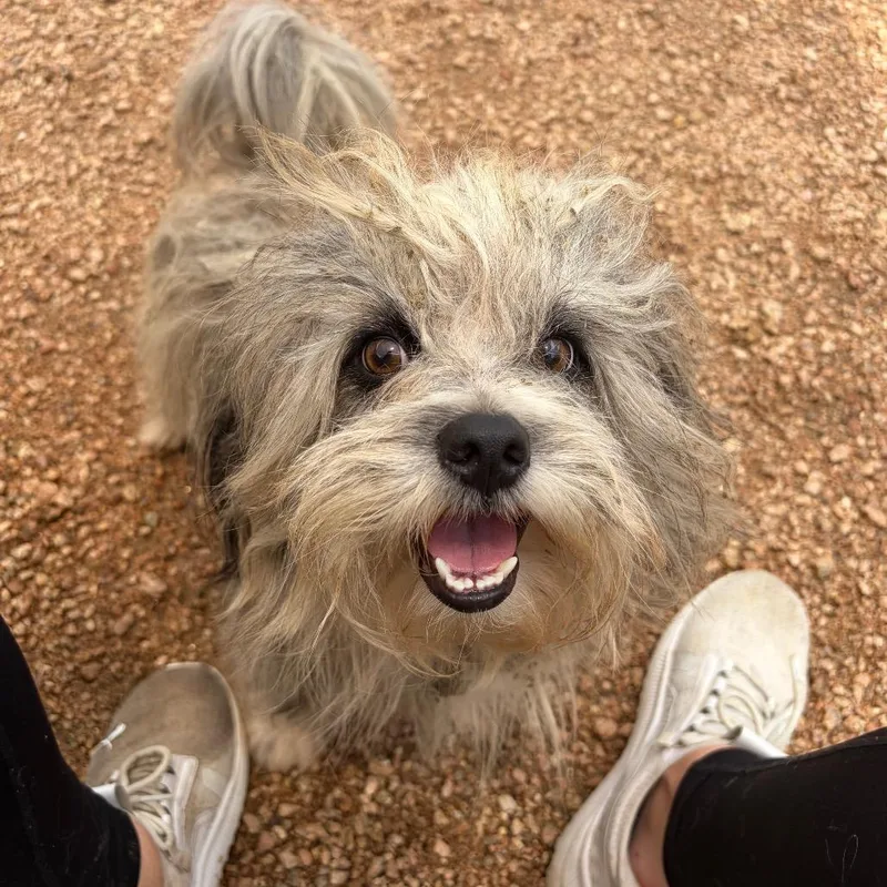 Roscoe thumbnail 2