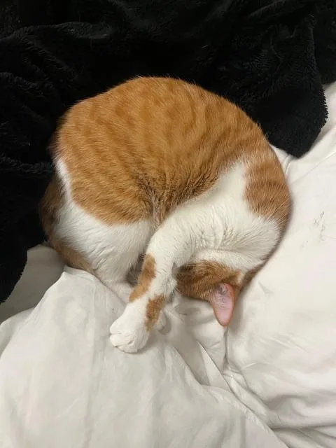 Ed And Pete thumbnail 2