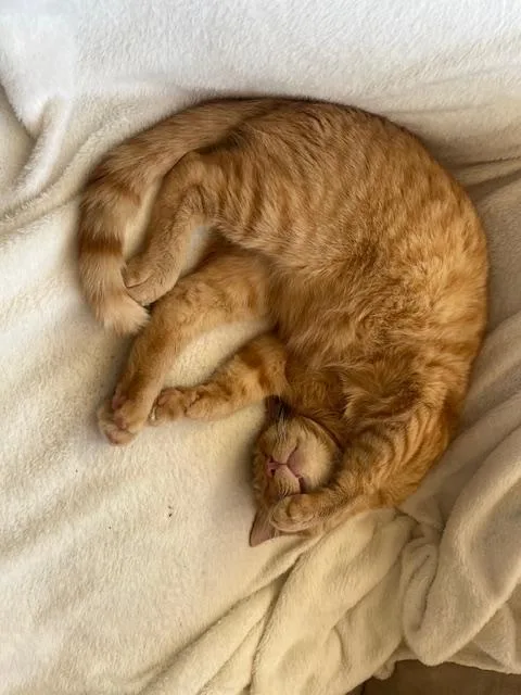 Ed And Pete thumbnail 3