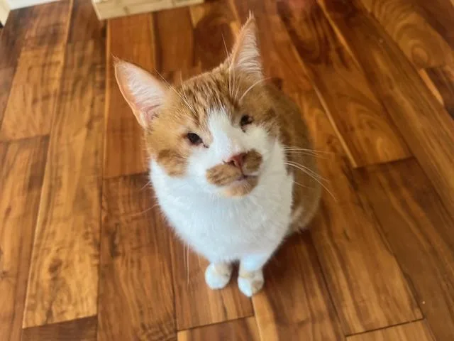 Ed And Pete thumbnail 4