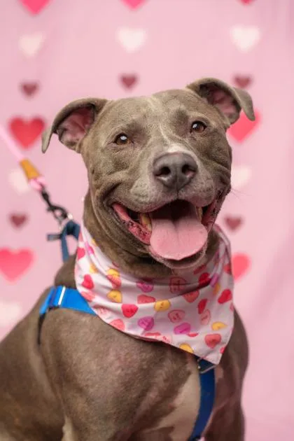 Kingston thumbnail 3