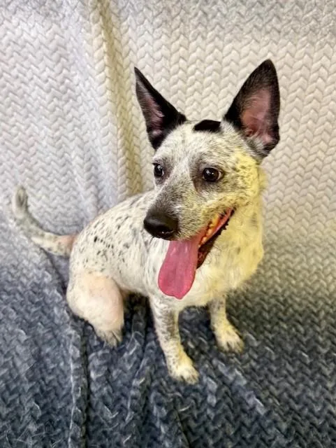 Coco