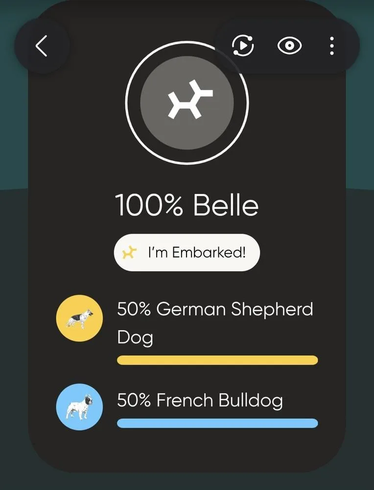 Belle thumbnail 5
