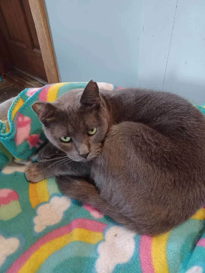 Sarah Aka Ophelia thumbnail 2