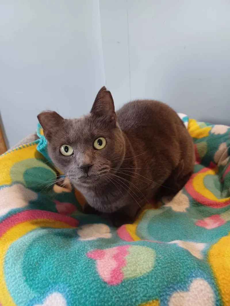 Sarah Aka Ophelia thumbnail 3