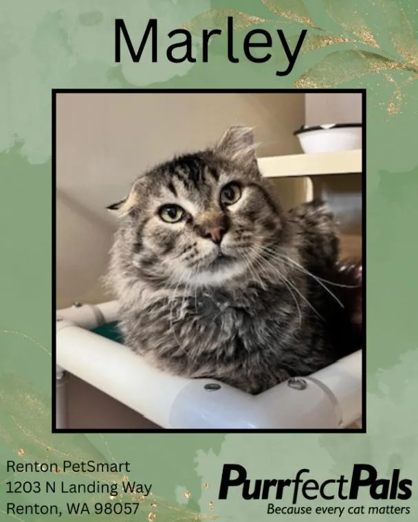 Marley thumbnail 3
