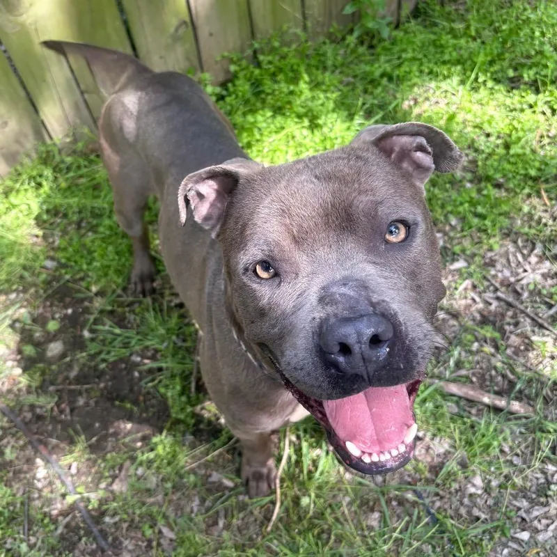 Poseidon D thumbnail 2