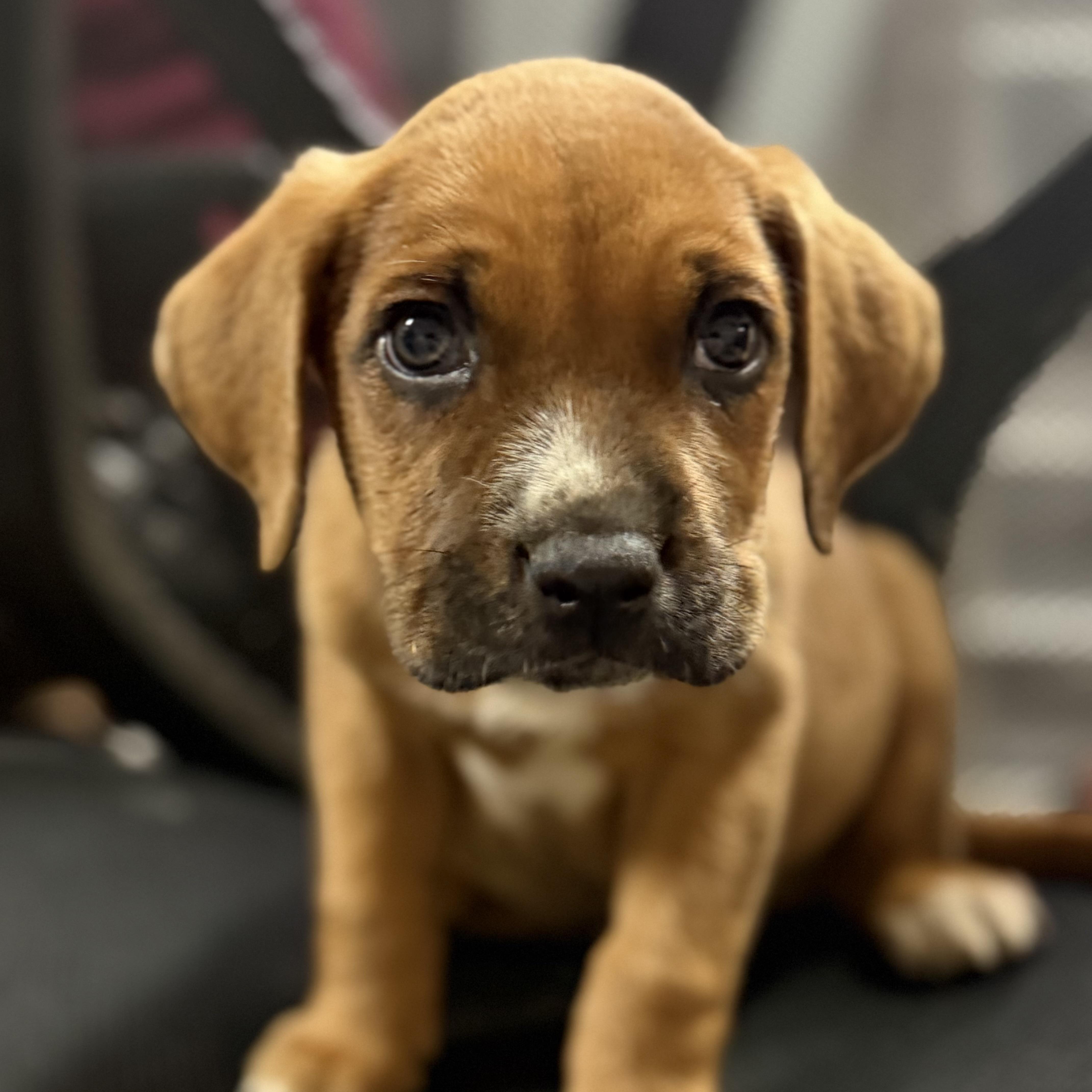 Minecraft thumbnail 2