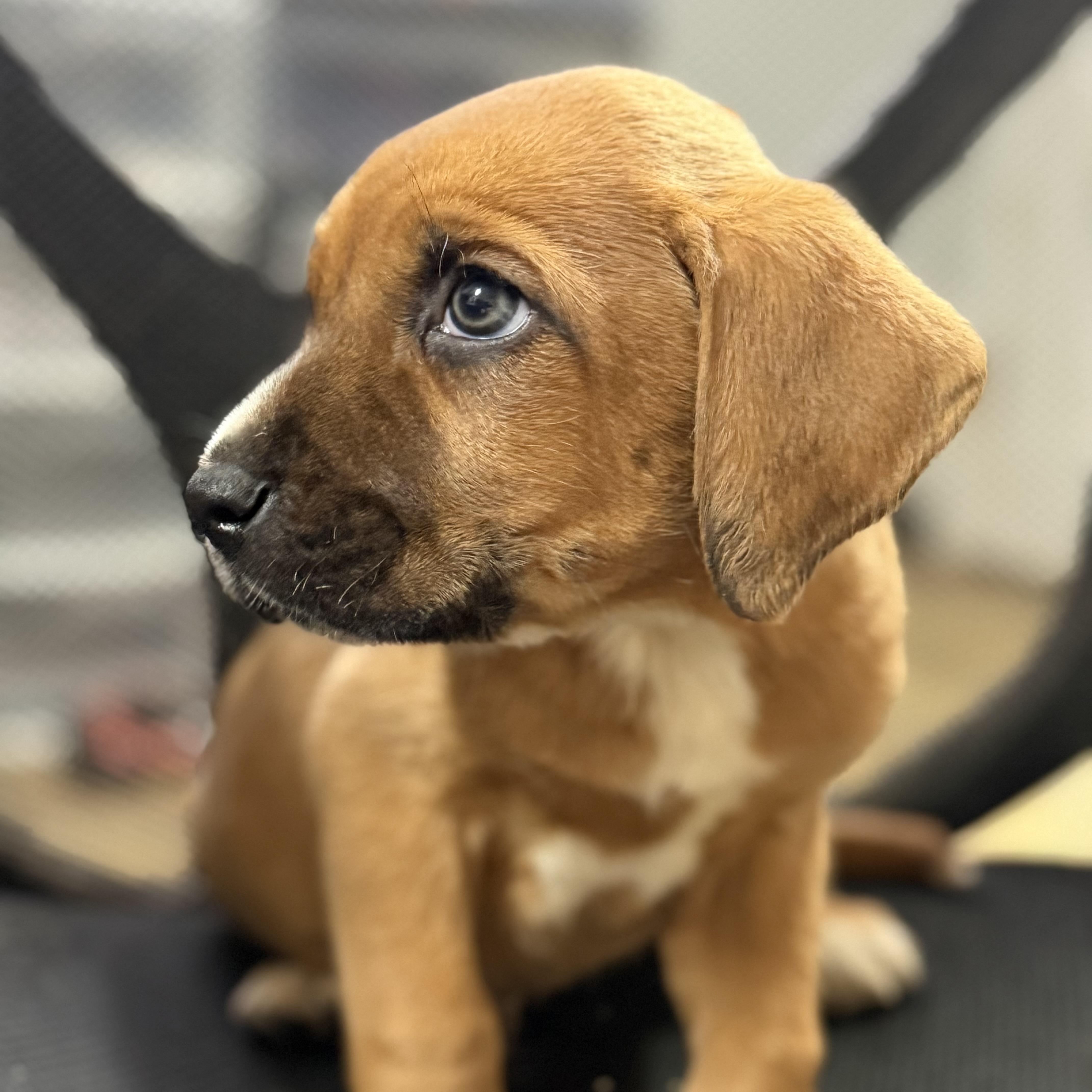 Minecraft thumbnail 3