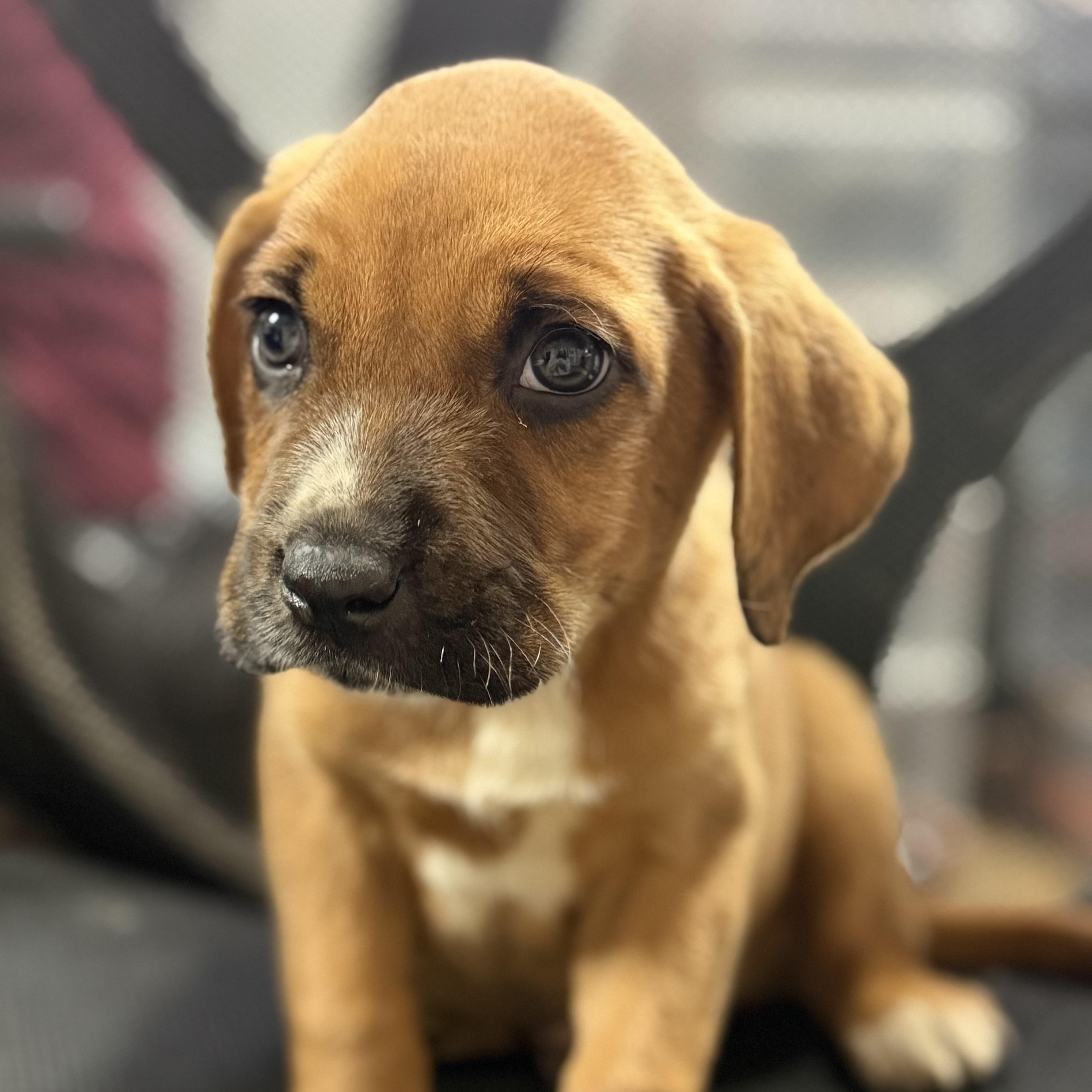 Minecraft thumbnail 5