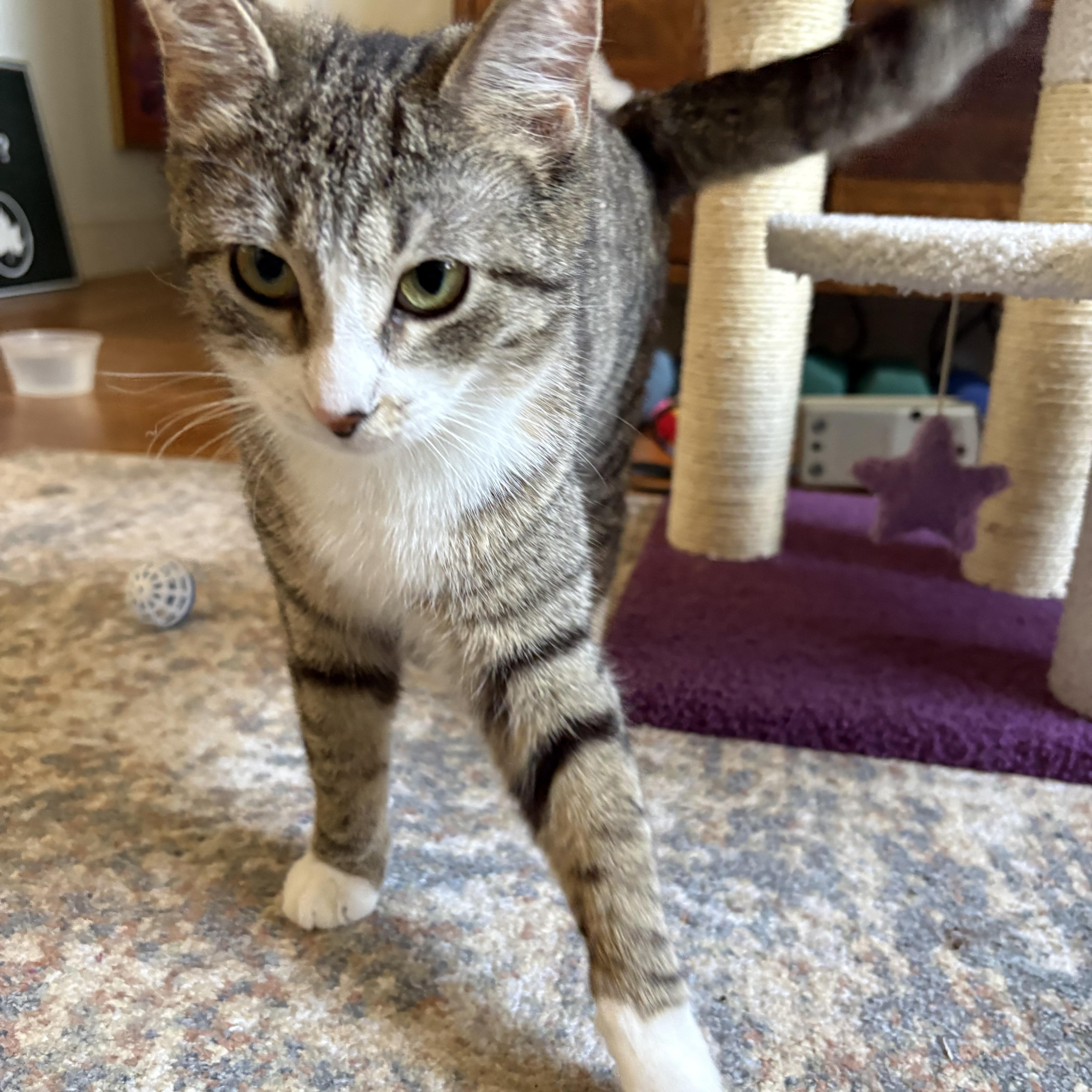 Tabitha And Matilda thumbnail 2