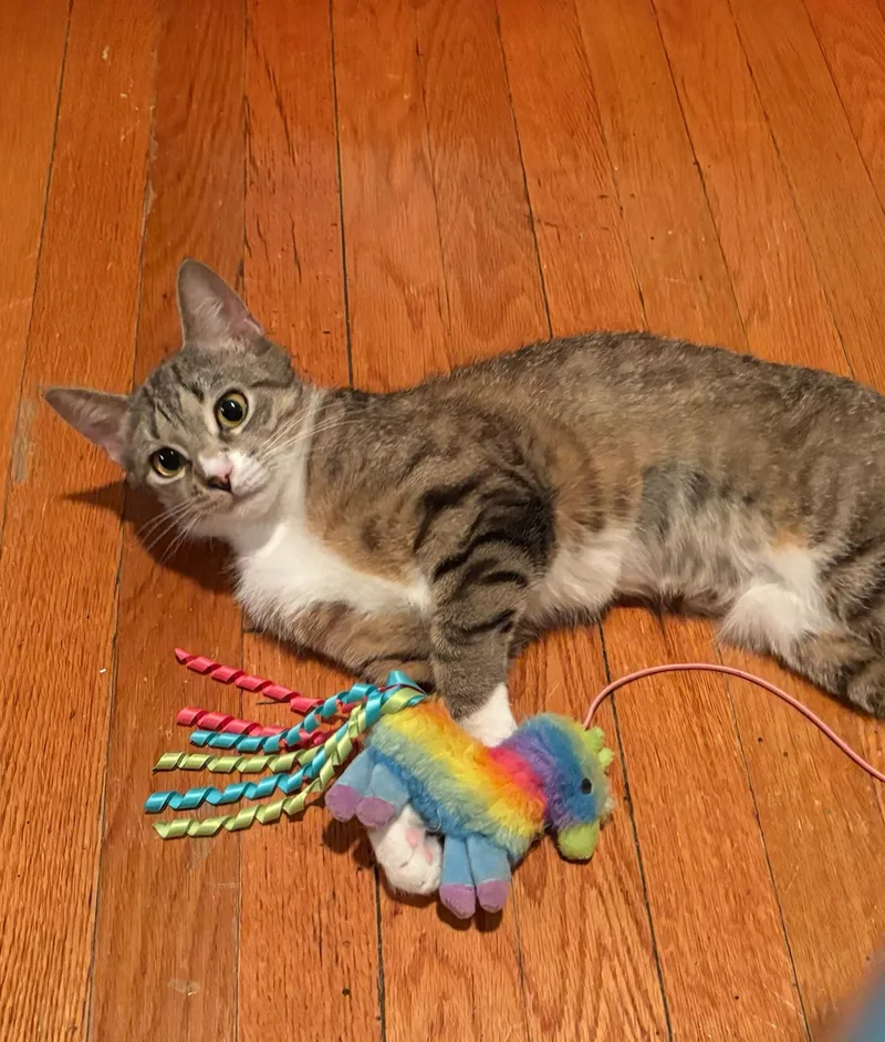 Tabitha And Matilda thumbnail 3