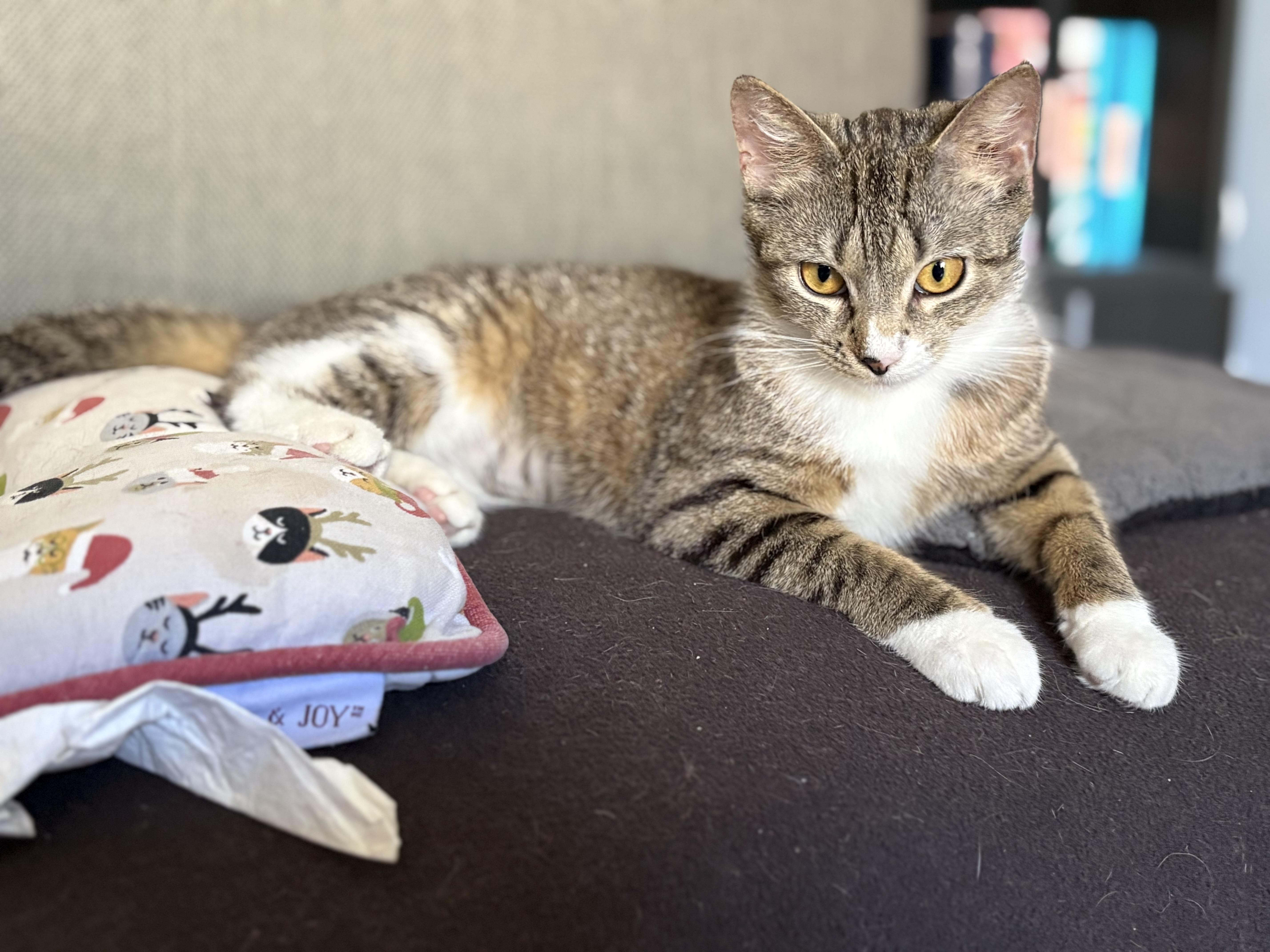 Tabitha And Matilda thumbnail 4