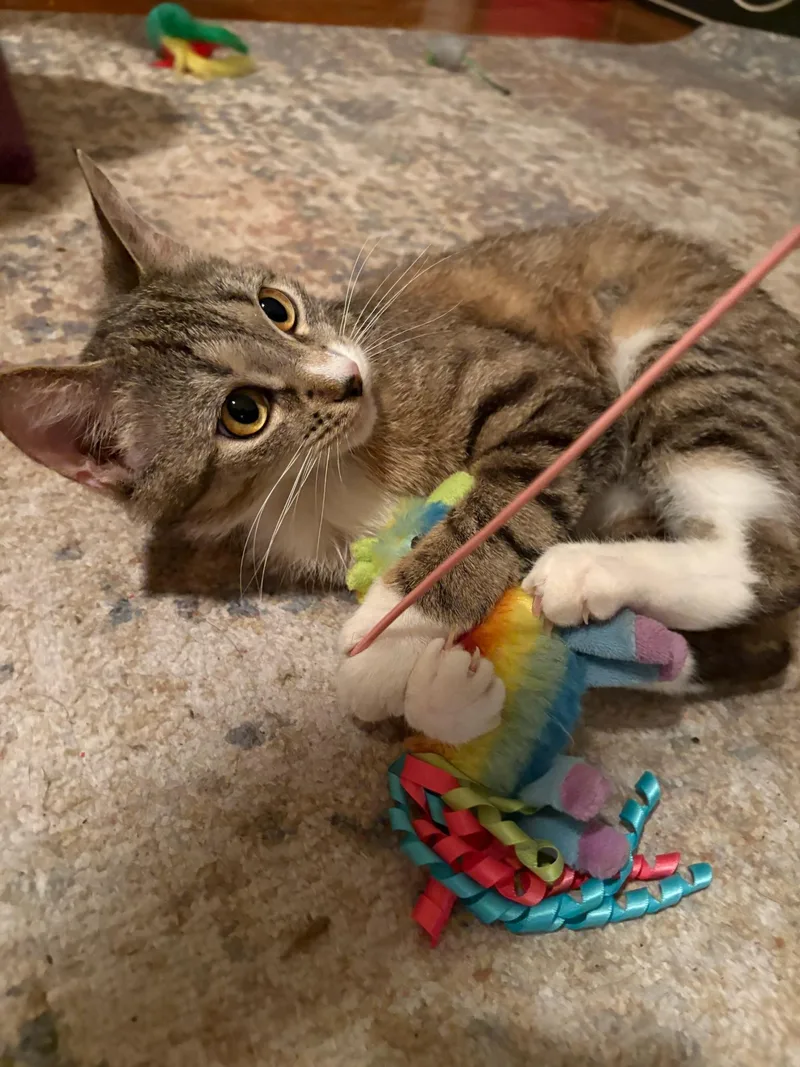 Tabitha And Matilda thumbnail 5