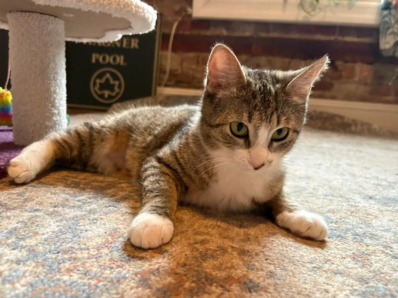 Tabitha And Matilda thumbnail 6