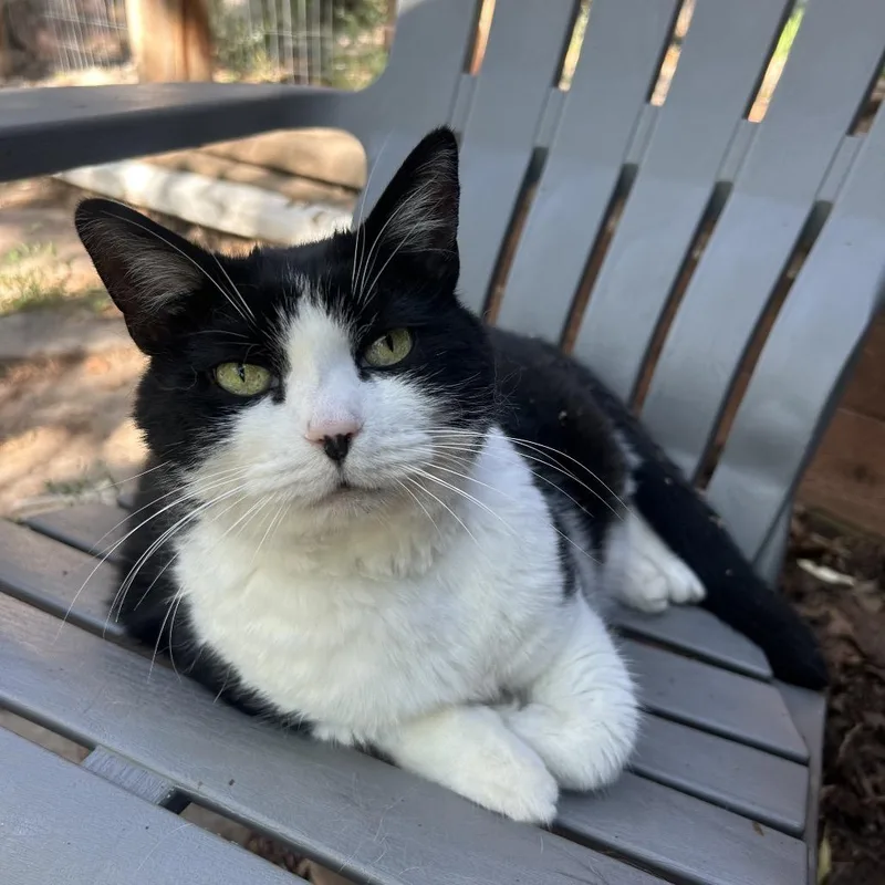 Penelope thumbnail 2