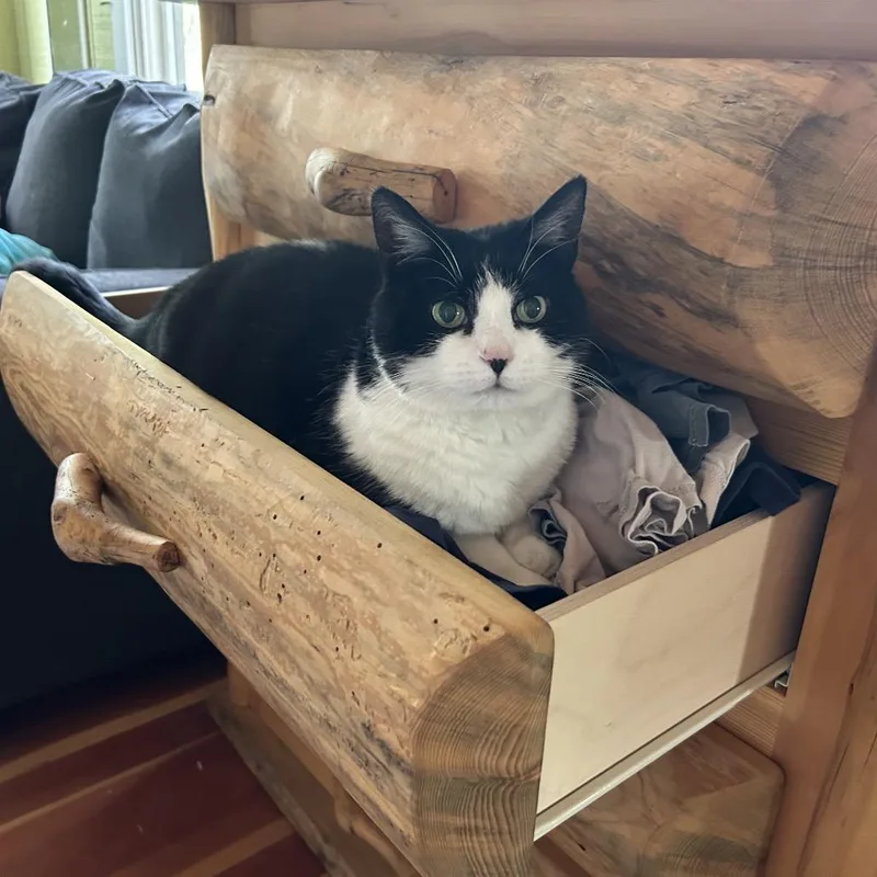 Penelope thumbnail 4