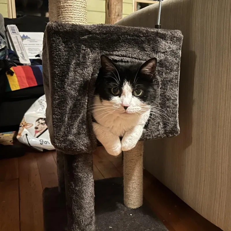 Penelope thumbnail 5