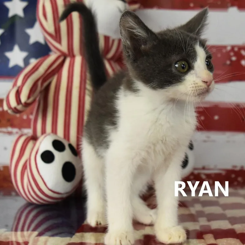 Ryan thumbnail 2