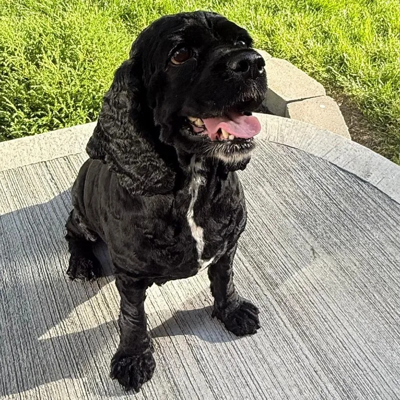 Tilly thumbnail 3