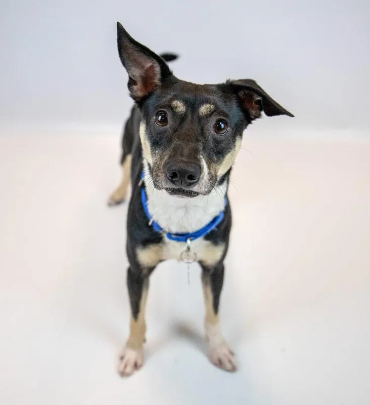 Lexington thumbnail 3