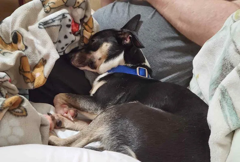 Lexington thumbnail 5