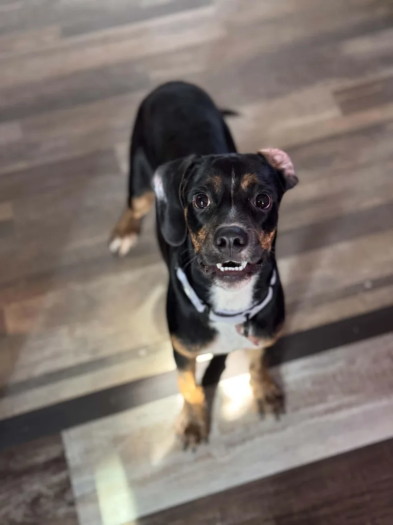 Jack