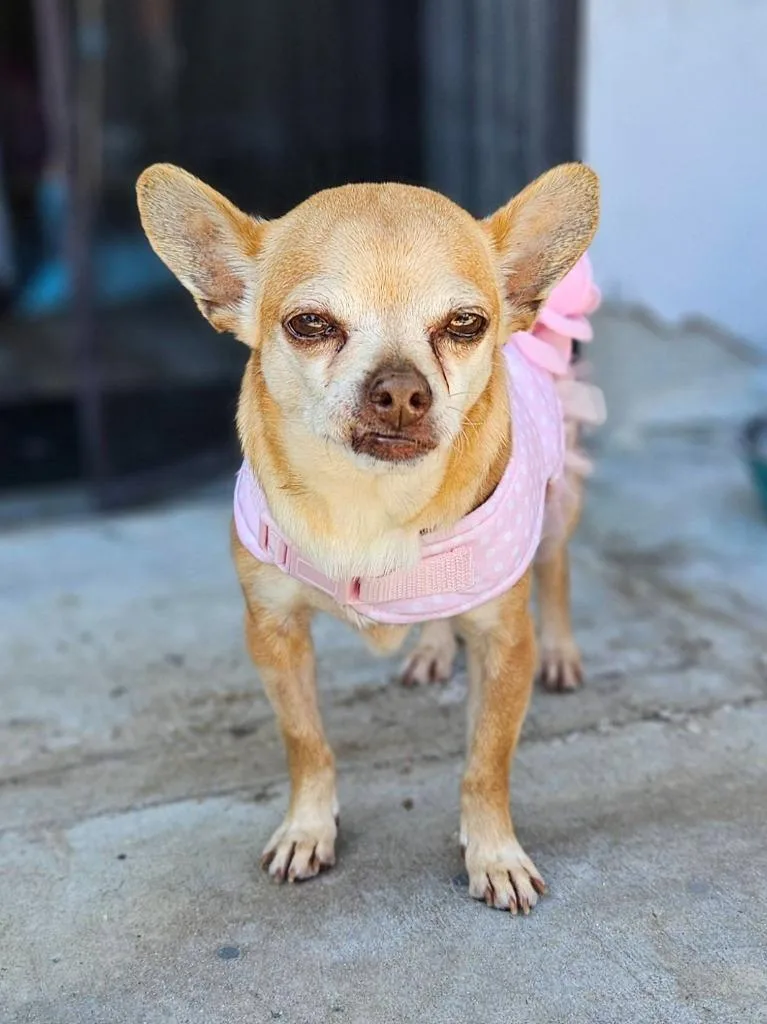 Ruby Tuesday thumbnail 2