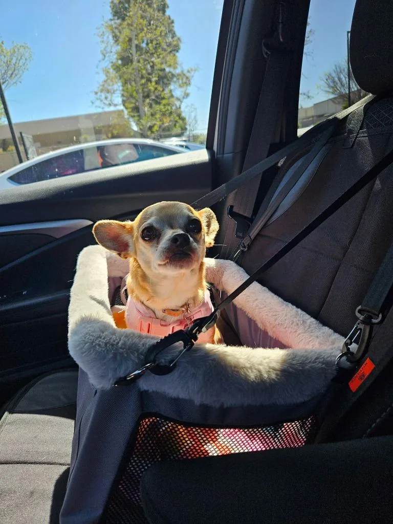 Ruby Tuesday thumbnail 3